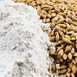 Barley flour / Jau atta